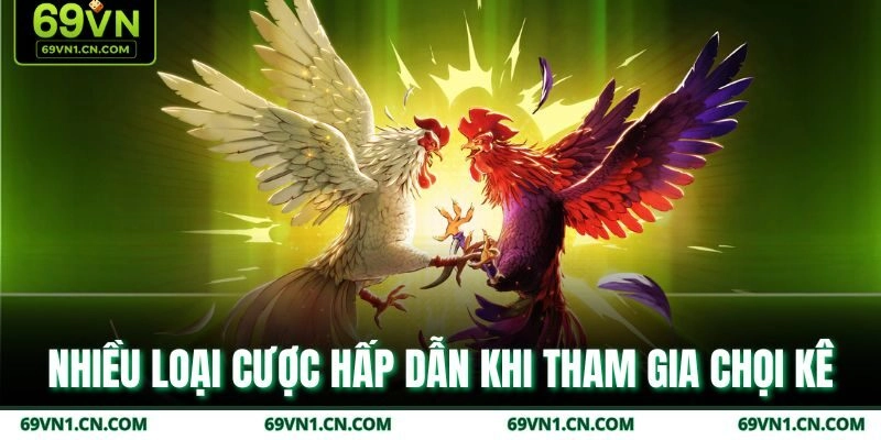 Nhiều loại cược hấp dẫn khi tham gia chọi kê Nhiều loại cược hấp dẫn khi tham gia chọi kê
