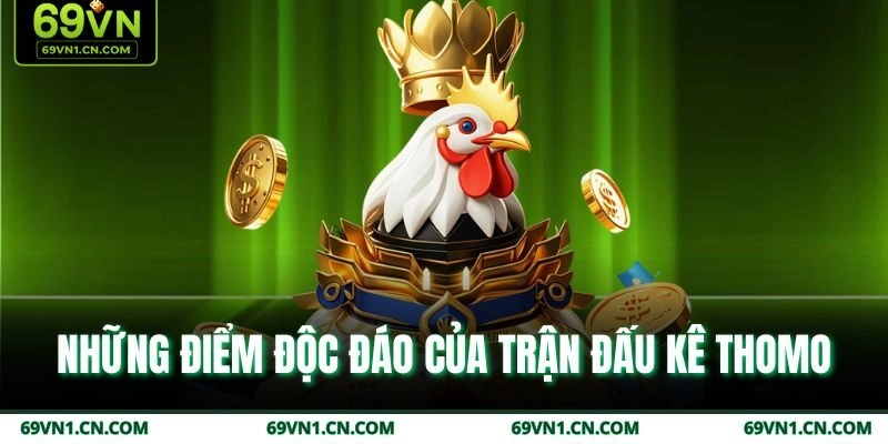 Những điểm độc đáo của trận đấu kê thomo Những điểm độc đáo của trận đấu kê thomo